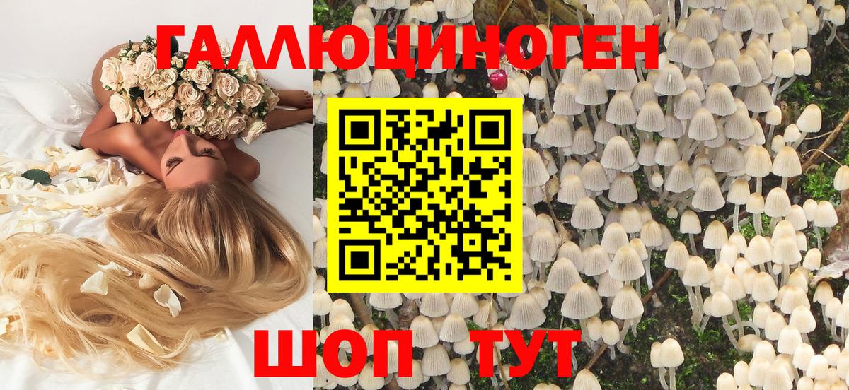 Саяногорск  купить   Вход с VPN  Галлюциногенные грибы MAGIC MUSHROOMS 